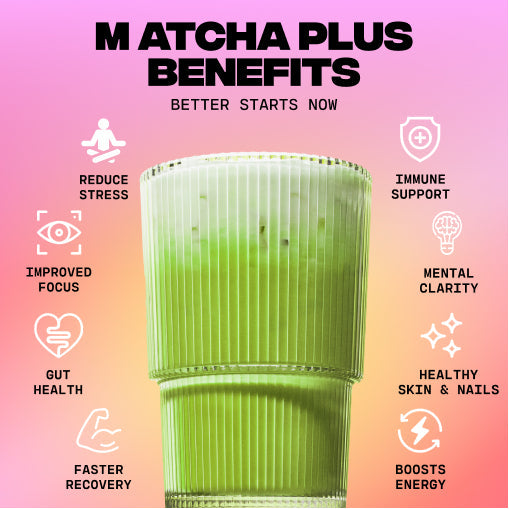 Matcha+ Starter Kit (30 Servings) - Cafe Clean Clarity